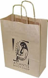 Twisted Paper Handled Carrier